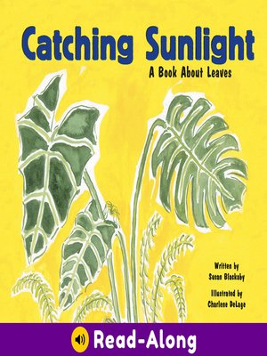cover image of Catching Sunlight